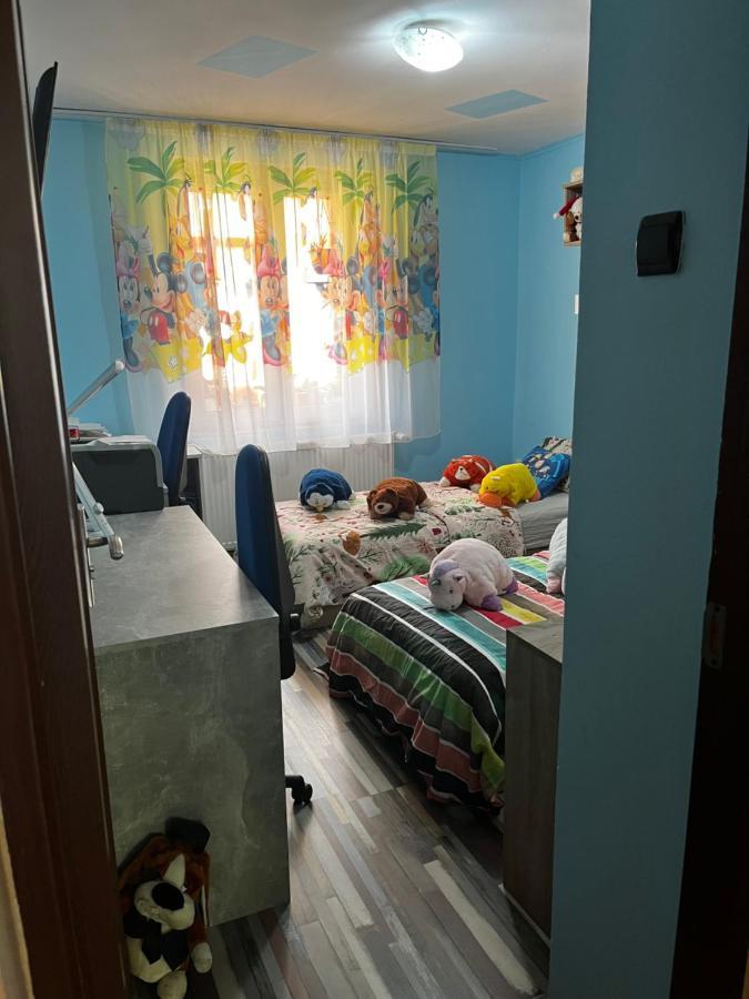 Apartament Maria 1 Băile Herculane Esterno foto