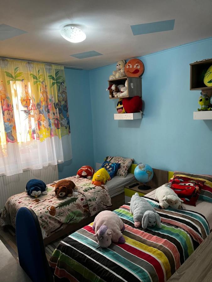 Apartament Maria 1 Băile Herculane Esterno foto